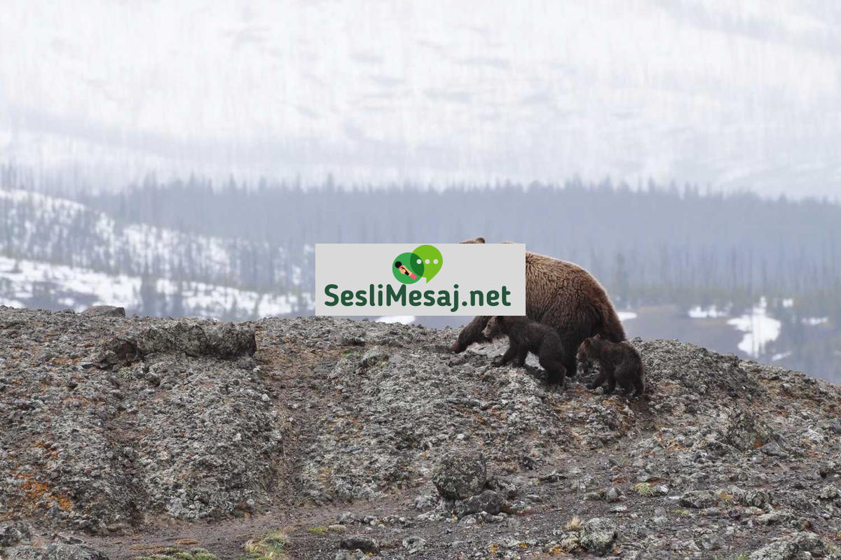 Vintage Giyim Sohbeti: İkinci El Moda ve Tarihi