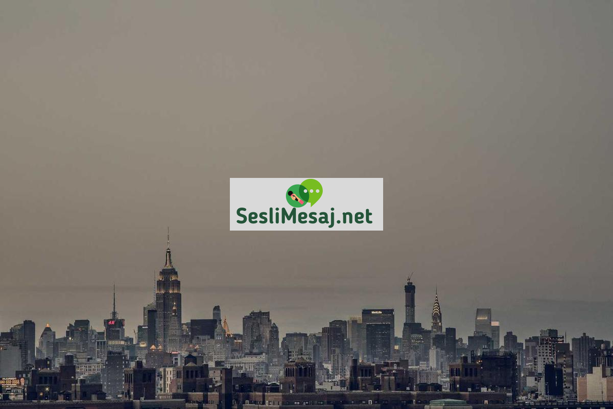 Yaşam Sohbeti: Hayat Deneyimleri ve İpuçları