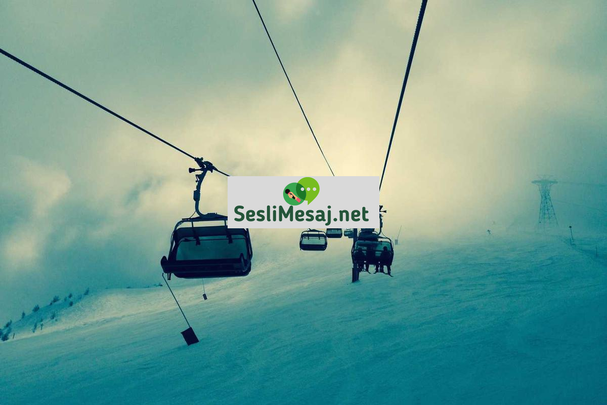 Yalnızlık Hissi Sohbeti: Çevrimiçi Destek Grupları