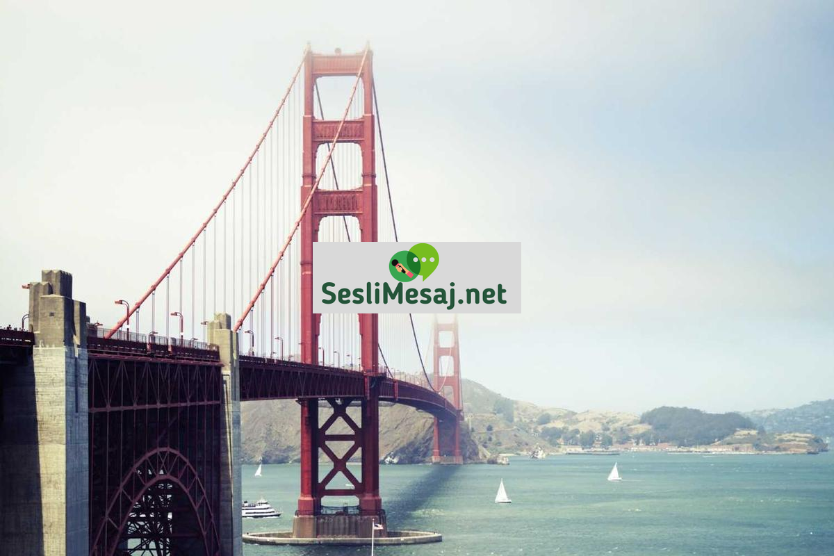 Yangın Güvenliği Sohbeti: Ev ve İş Yerinde Tedbirler