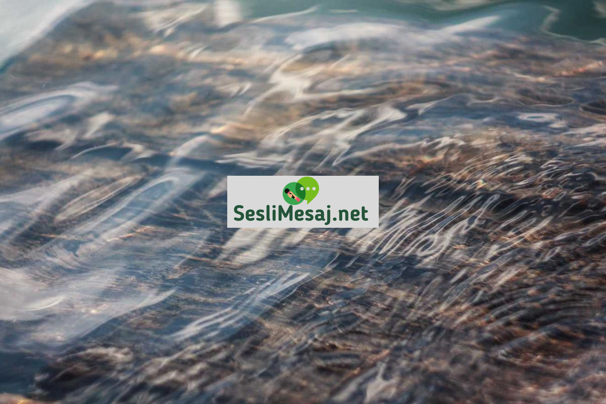 Yapay Zeka Sanat Sohbeti: AI Tarafından Üretilen Eserler