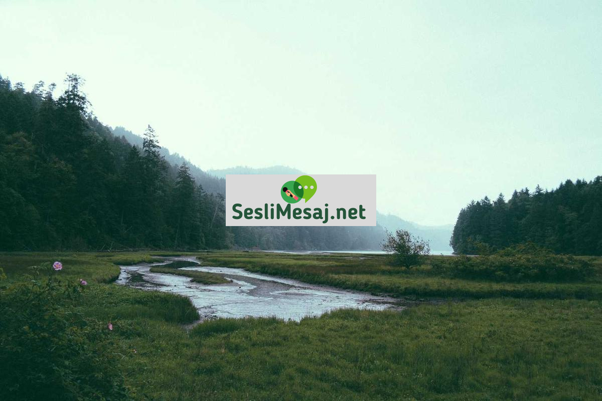 Yapay Zeka Sohbeti: AI’nın Hayatımıza Etkisi ve Geleceği