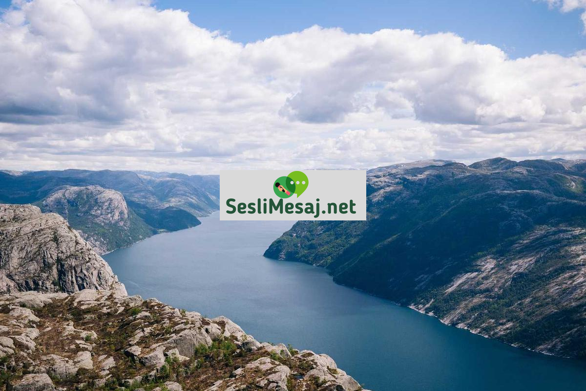 Yapay Zeka ve İş Dünyası Geleceği Sohbeti: Yeni Dönem