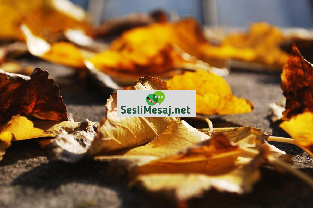 Yapay Zeka ve İş Dünyası Geleceği Sohbeti: Yeni Dönem