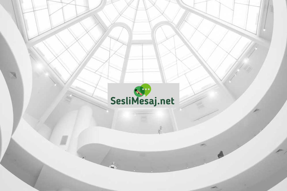 Yapay Zeka ve İnsan Zekası Karşılaştırması Sohbeti: Felsefe