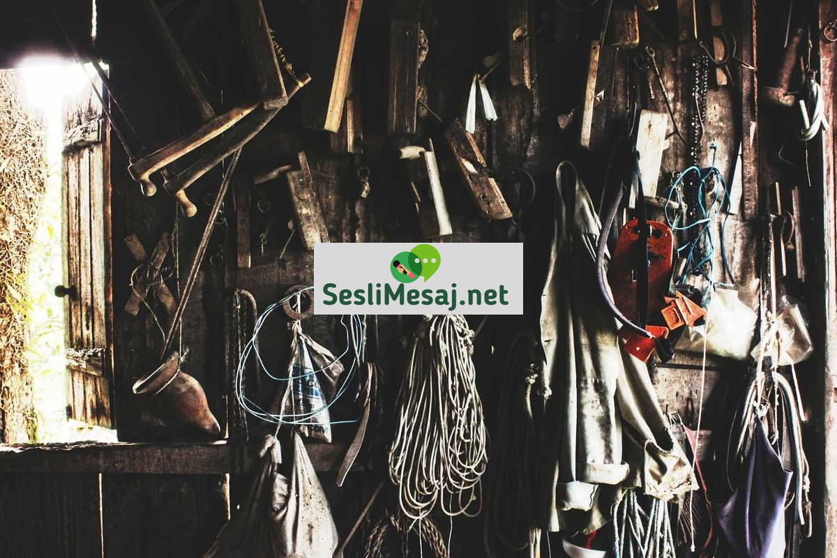 Yapay Zeka ve Yaratıcılık Sohbeti: Sanat ve Tasarım