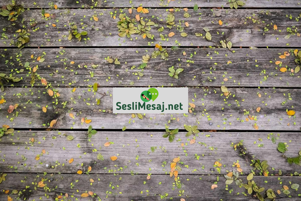 Yapay Zeka ve Yaratıcılık Sohbeti: Sanat ve Tasarım