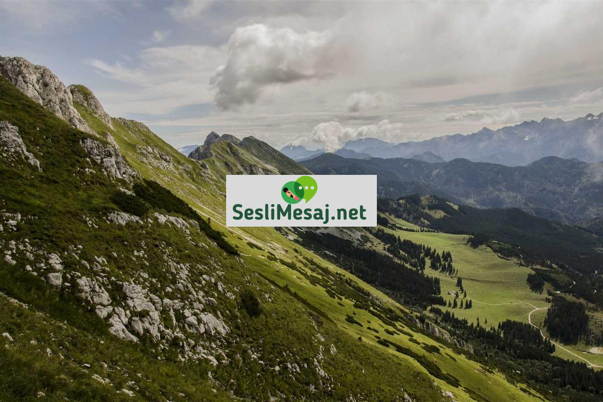 Yaralı Ruh Chat: Manevi İyileşme Yolları