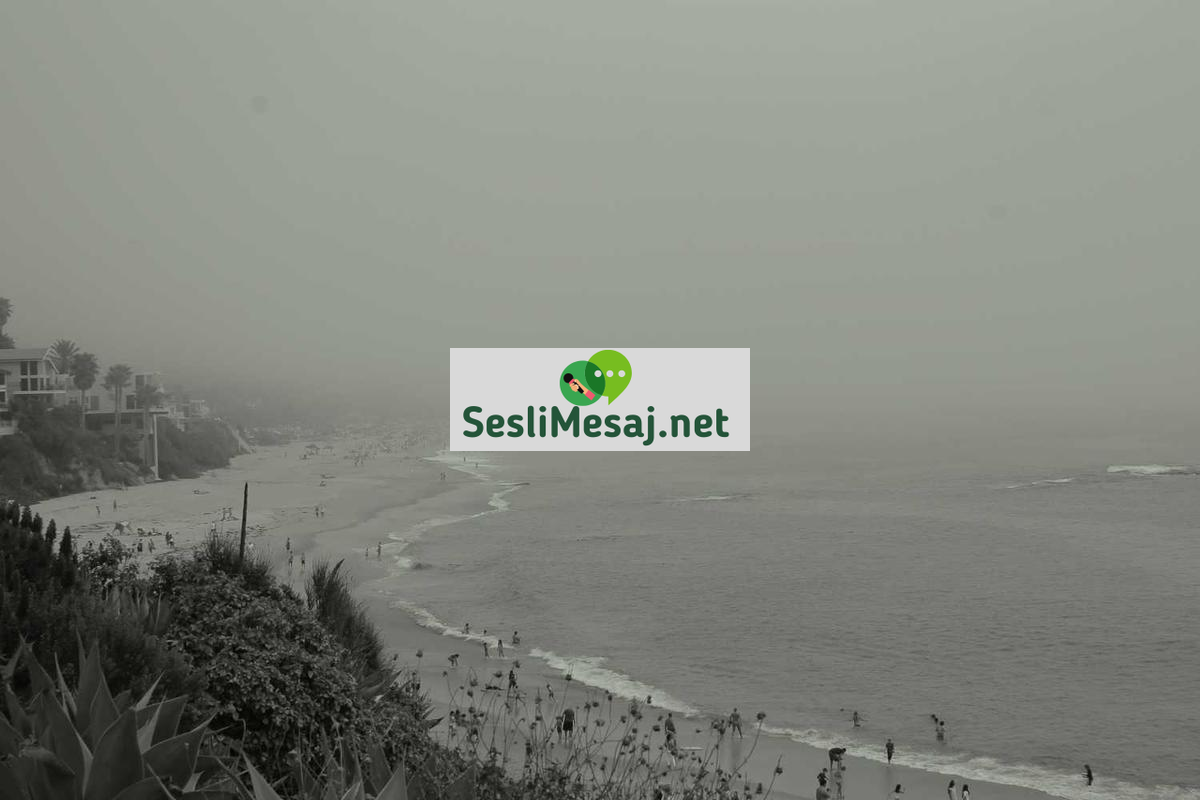 Yarış Atı Sohbeti: At Yarışları ve Atçılık Kültürü