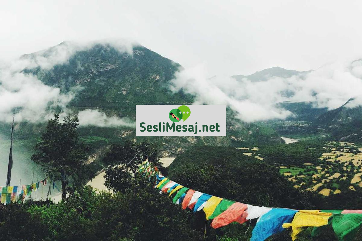 Yatırımcı Psikolojisi Sohbeti: Piyasada Duygusal Kontrol