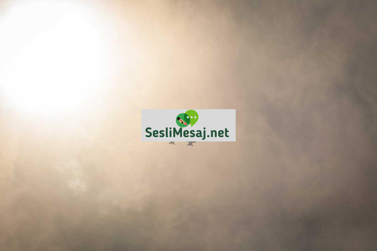 Yatırım Portföyü Çeşitlendirmesi Sohbeti: Risk Azaltma