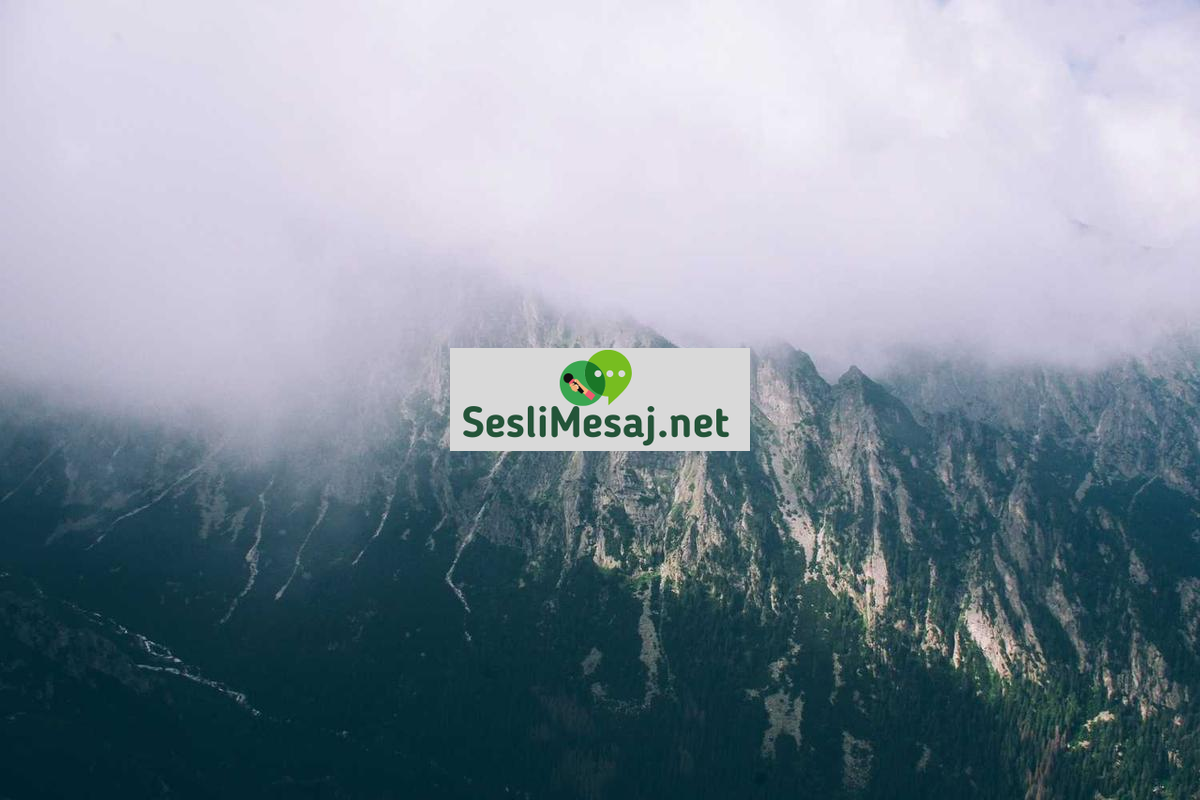 Yayıncılıkta Reklam Gelirleri Sohbeti: Pazarlama