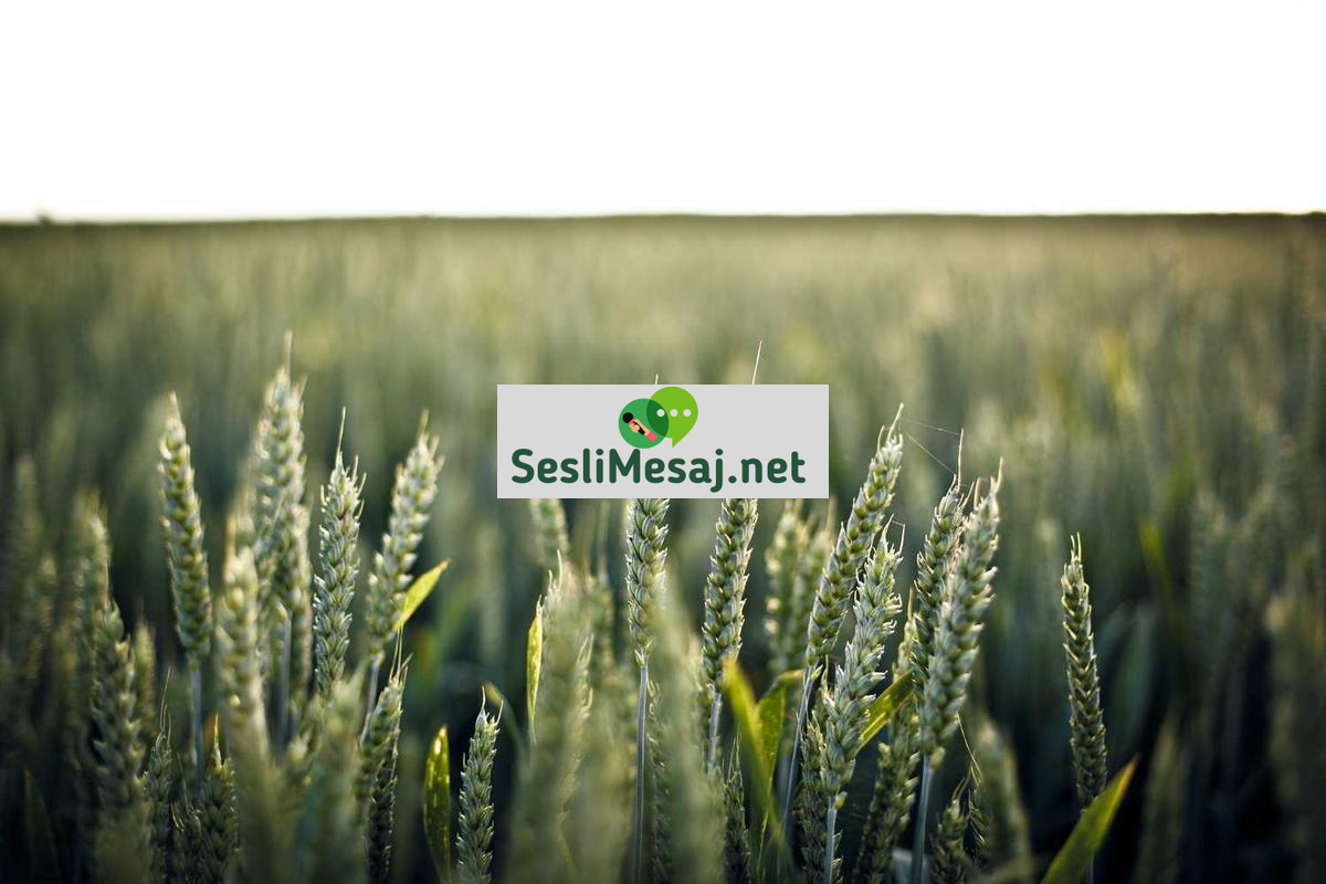 Yayıncılıkta Reklam Gelirleri Sohbeti: Pazarlama