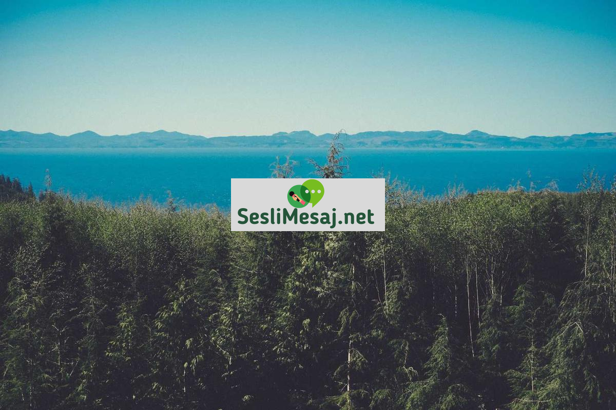 Yayıncılıkta Reklam Gelirleri Sohbeti: Pazarlama