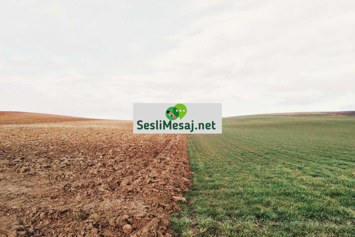 Yaz Sporları Sohbeti: Yelken, Sörf ve Dalış