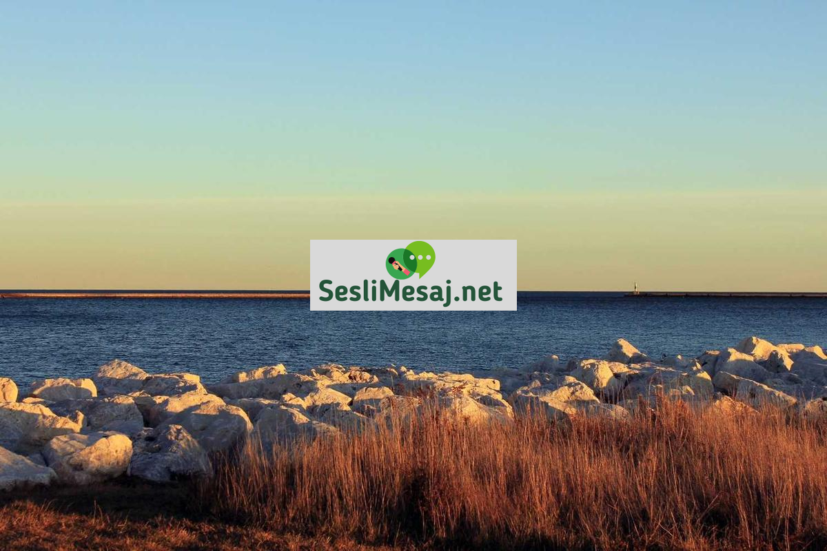 Yaz Sporları Sohbeti: Yelken, Sörf ve Dalış