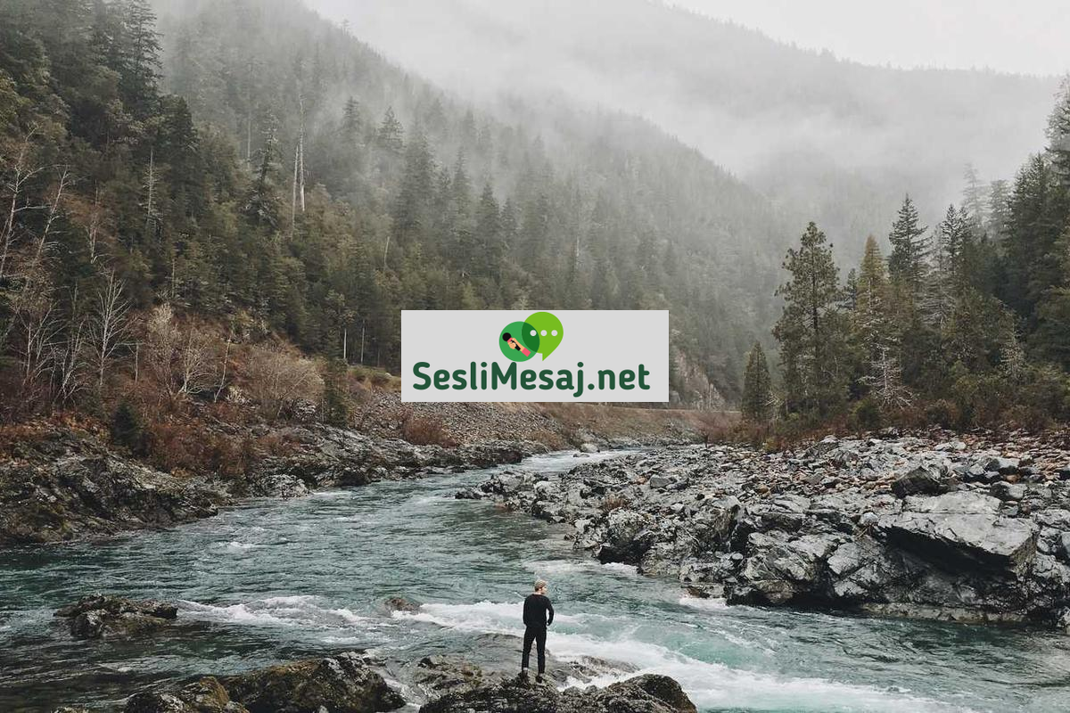 Yaz Tatili Chat: Deniz, Kum ve Güneş Paylaşımları