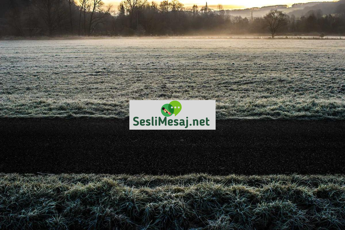 Yeşil Binaların Avantajları Sohbeti: Çevre ve Maliyet