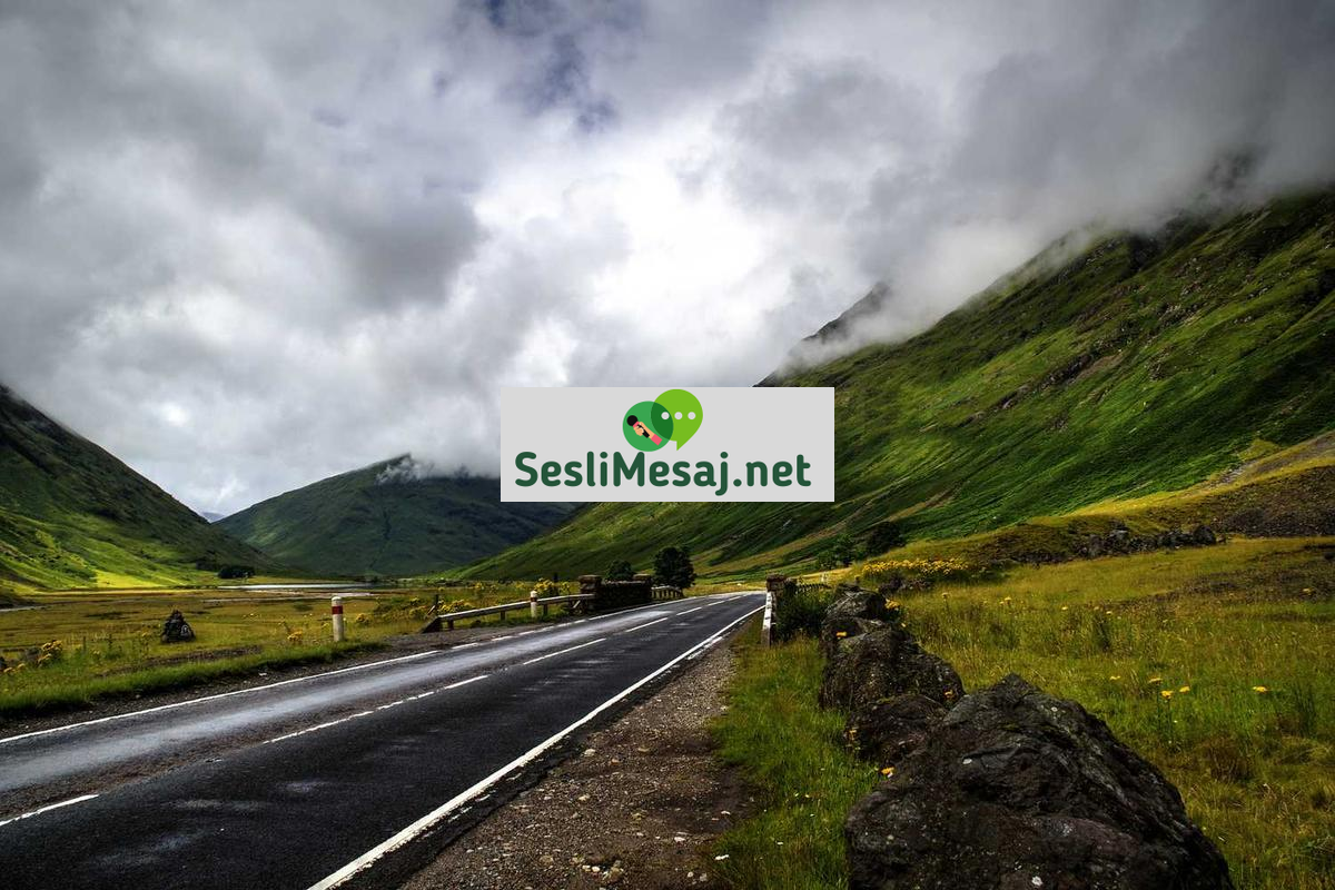 Yeşil Bina Sertifikaları Sohbeti: Çevre Dostu İnşaat