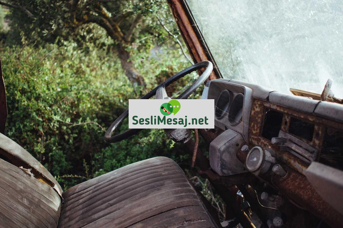 Yenidoğan Bakımı Sohbeti: İlk Aylar ve İpuçları