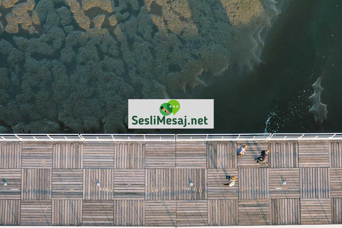 Yeni Nesil Chat: İletişimde İnovasyon ve Trendler