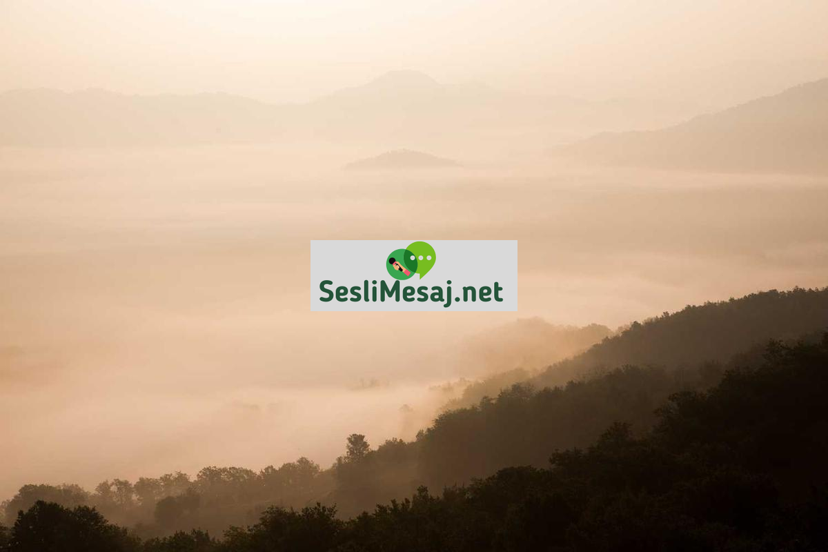 Yeni Üyelerle Tanışma Chat: Platforma Yeni Girenlerle İletişim