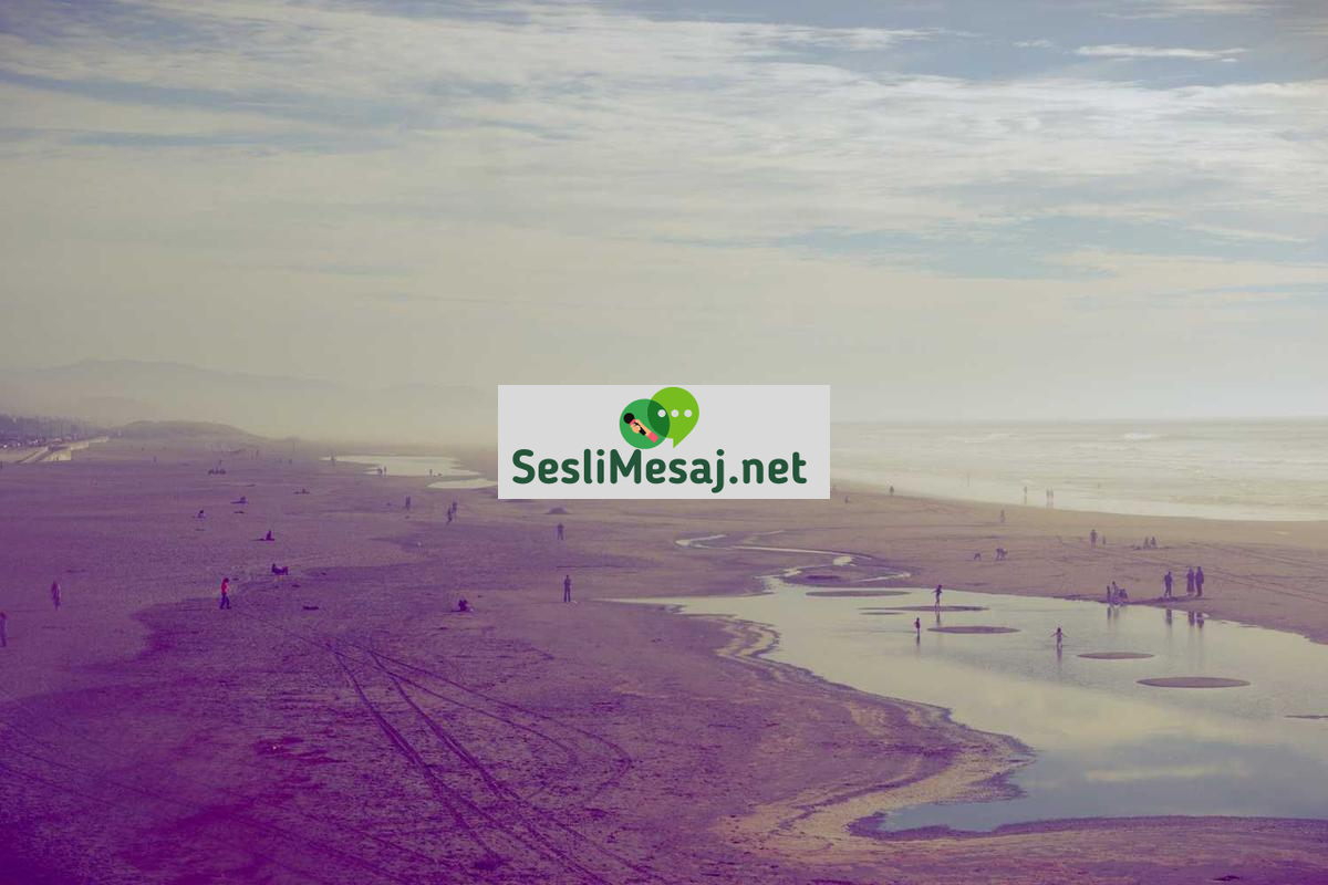 Yoga ve Zihin Sağlığı Sohbeti: Bütünsel İyileşme