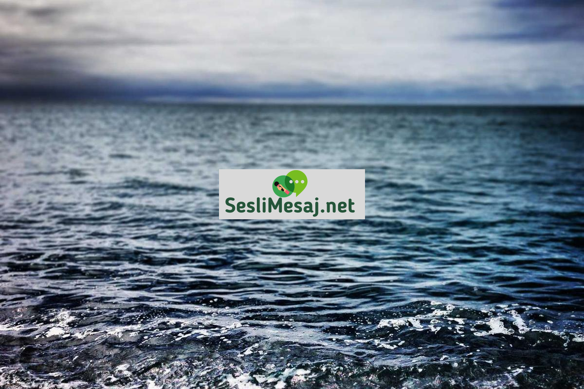 YouTube Eğitim Kanalları Sohbeti: Öğrenme Platformları