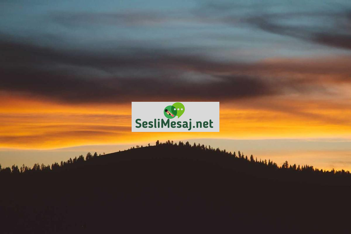 YouTube Kanalları Sohbeti: İçerik Stratejileri ve Başarı